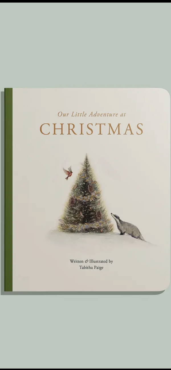 Our Little Adventures at Christmas