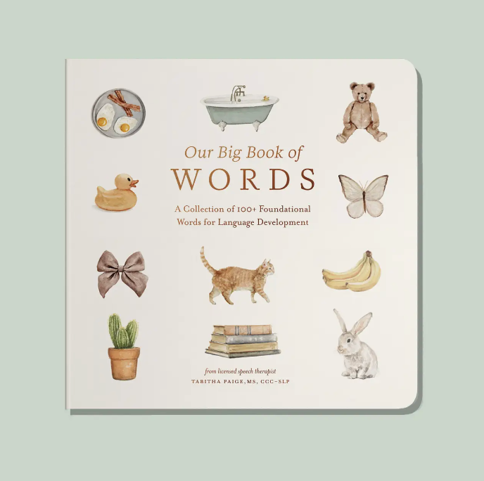 Our Big Book of First Words