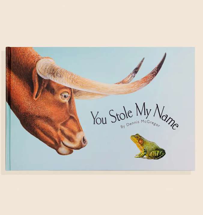 You Stole My Name Book