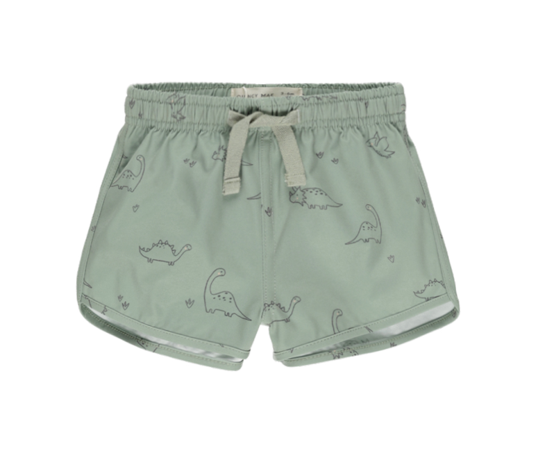 BOYS SWIM SHORT || DINO