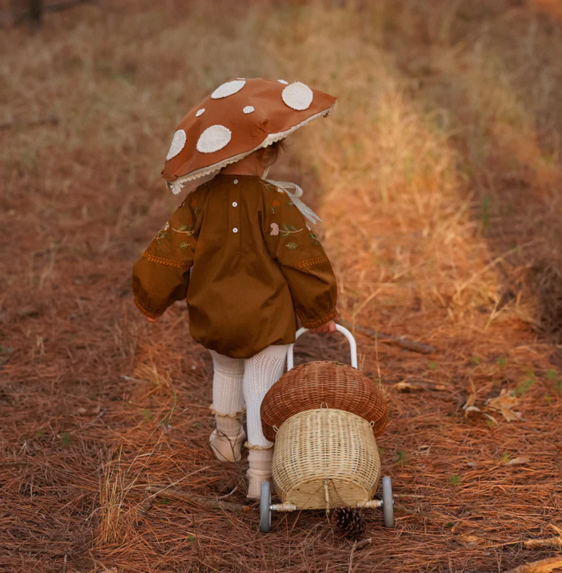 Rattan Mushroom Luggy