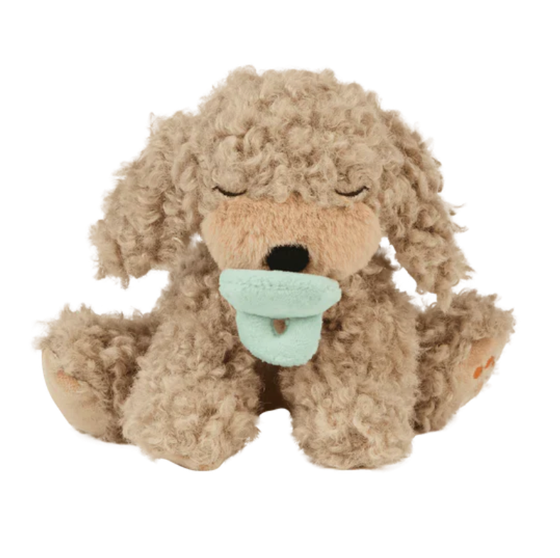 Binky Puppy - Benny / Gold