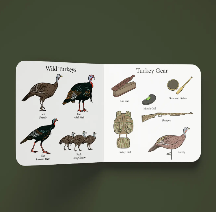 Turkey Season Children's Book