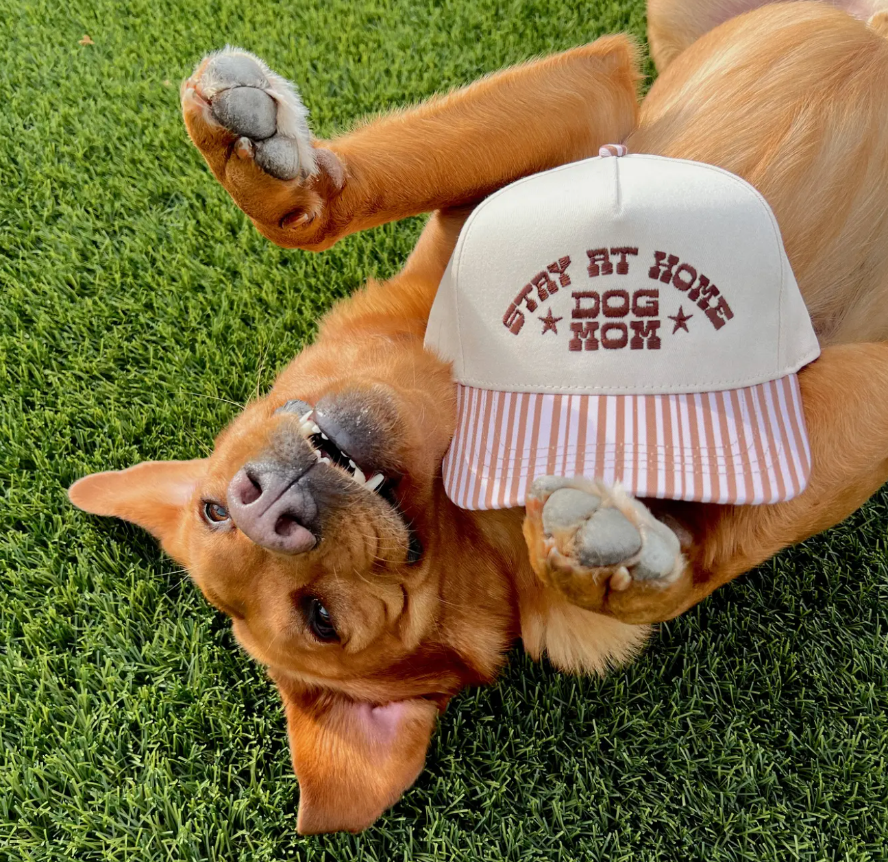 STAY AT HOME DOG MOM TRUCKER