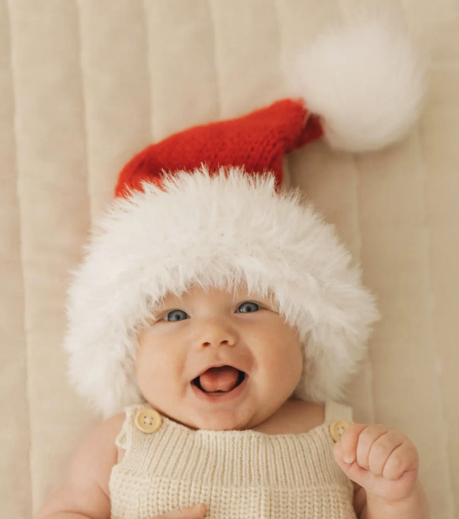 Furry Santa Beanie Hat