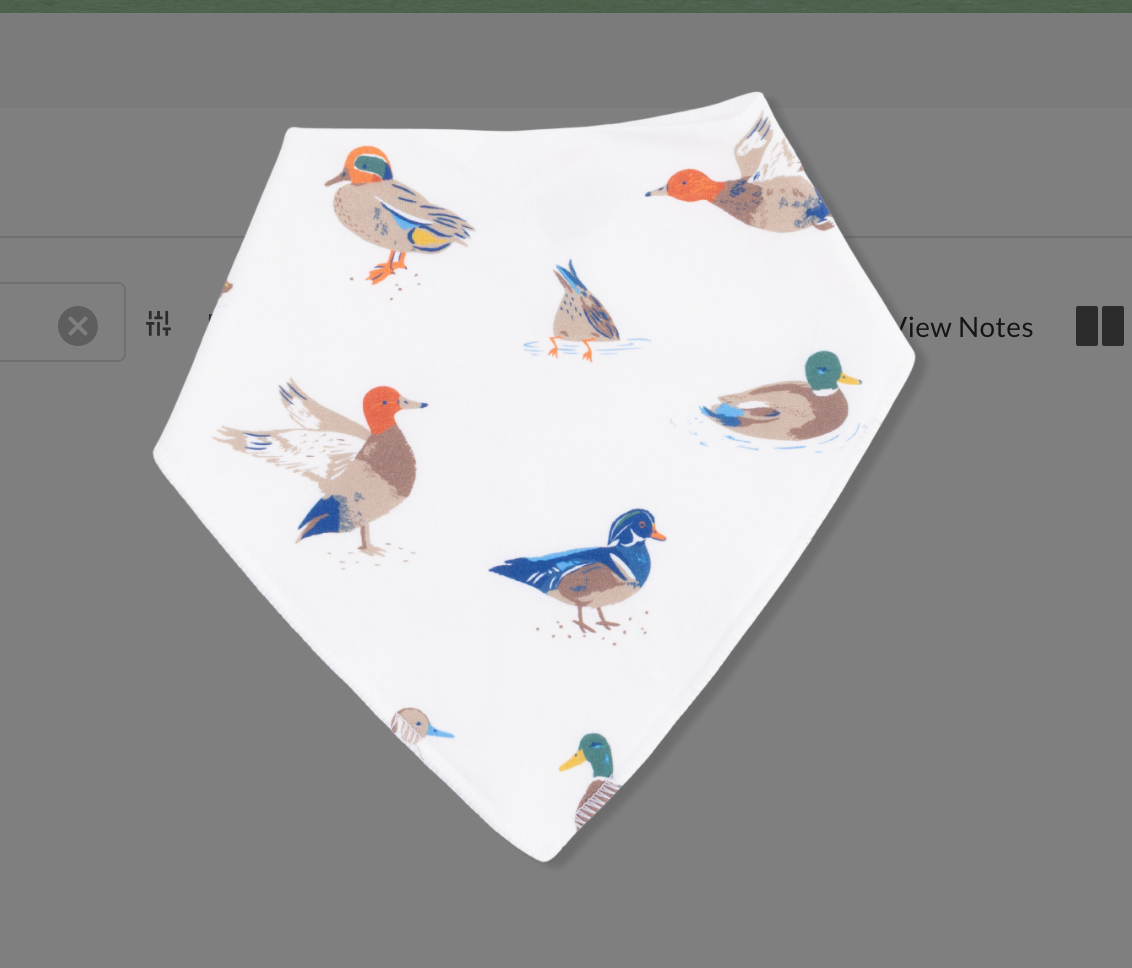 Ducks - Bandana Bib