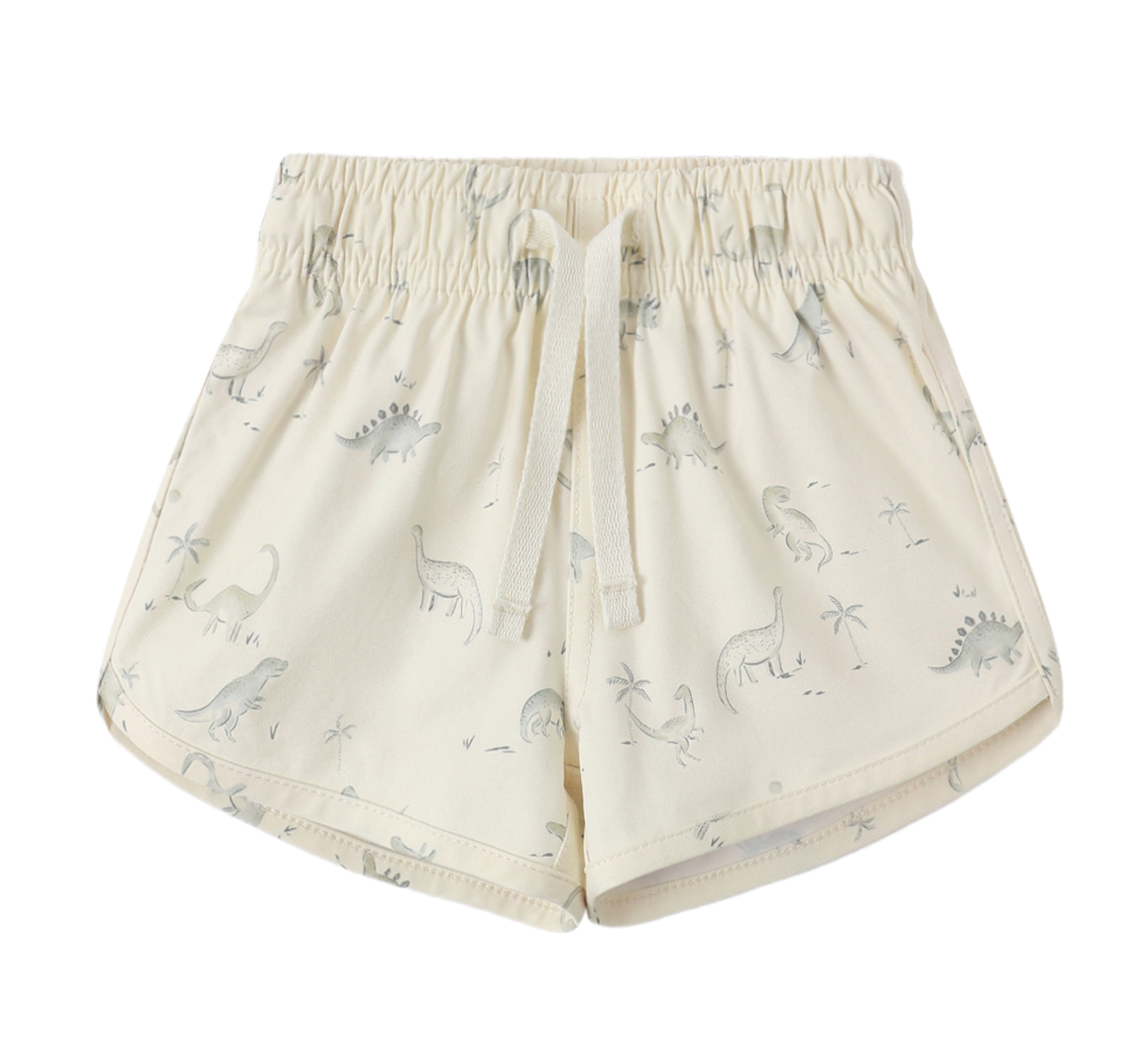 BOYS SWIM SHORT DINOSAUR