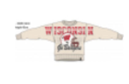 WISC Homefield Sweatshirt