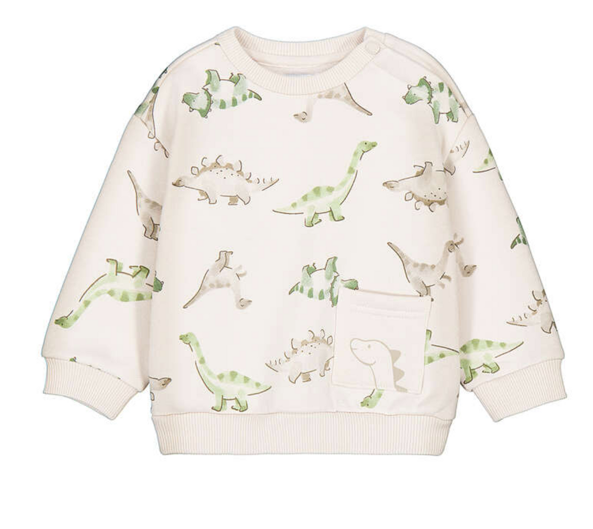 Dino Graphic Sweatshirt