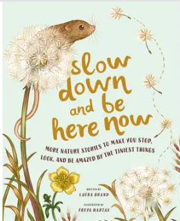 Slow Down and Be Here Now