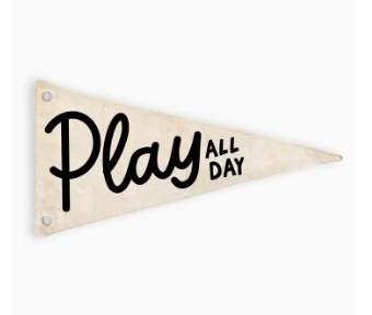 Play All Day Canvas Pennant Flag
