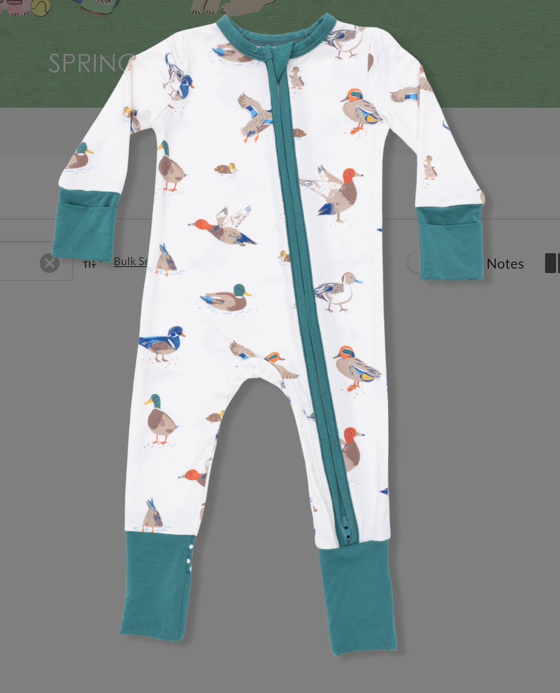 Ducks - Convertible Romper