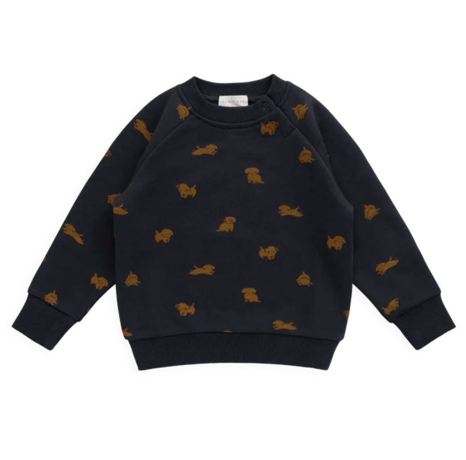 Organic Cotton Flynn Sweatshirt - Playful Milo Captain