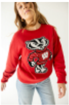 WISC Mascot Sweatshirt